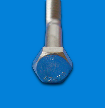 Edelstahlschrauben DIN 571 A2 Sechskant Holzschrauben M5 M6 M8 M10 M12